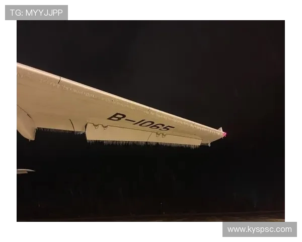 飞机机翼前缘防冰系统的结冰